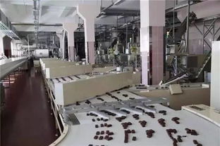 一路向陽 走進(jìn)白俄羅斯