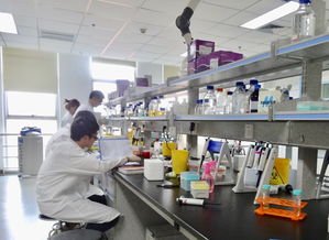 成都高新區(qū)力促生物科技創(chuàng)新實現(xiàn) 并跑 和 領(lǐng)跑