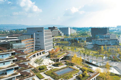 點亮 下線 通航 成都高質量發(fā)展按下 快進鍵