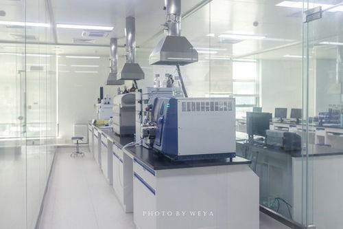 面面旅拍 探索奇妙科技工廠,坐擁海洋度假天堂,珠海盡情玩樂(lè)放縱一夏